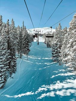 Od pondělí 2.2. do středy 4.2. máme zavřeno.